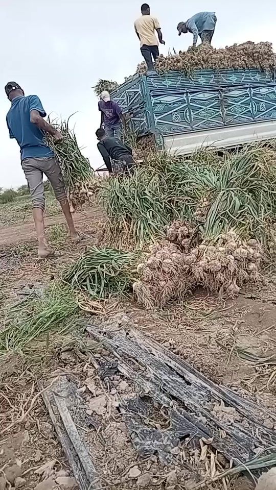 TikTok video thumbnail by asme148