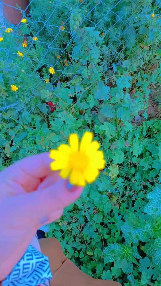 TikTok video thumbnail by em.mjood
