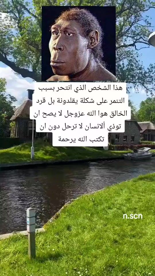 TikTok video thumbnail by n.sed1