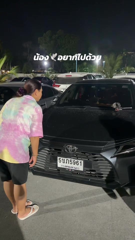 TikTok video thumbnail by n_nob.nob_n