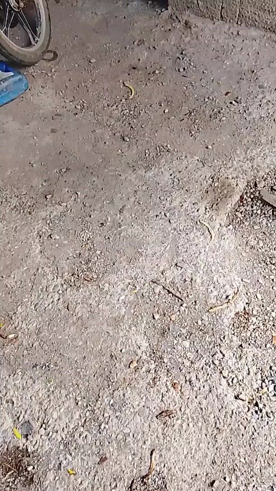 TikTok video thumbnail by alexandercrespo21