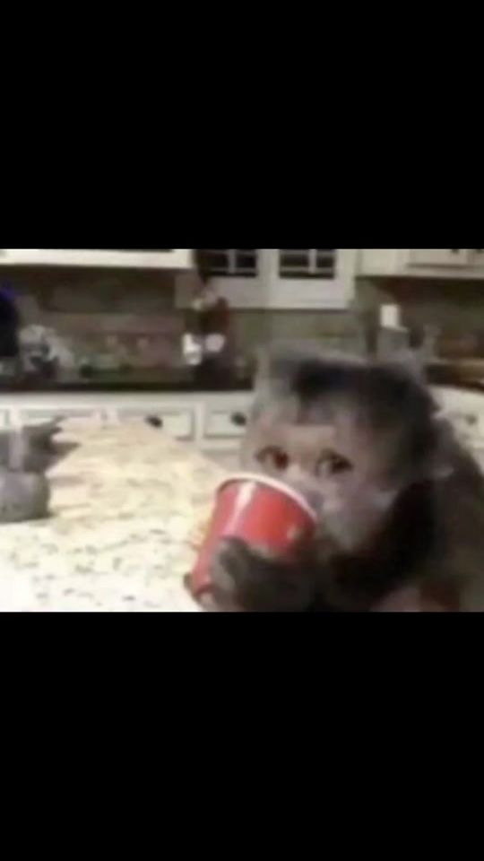 TikTok video thumbnail by hmmam1