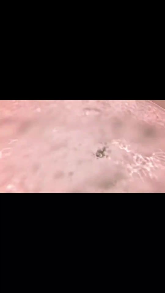TikTok video thumbnail by pao_meteoroo