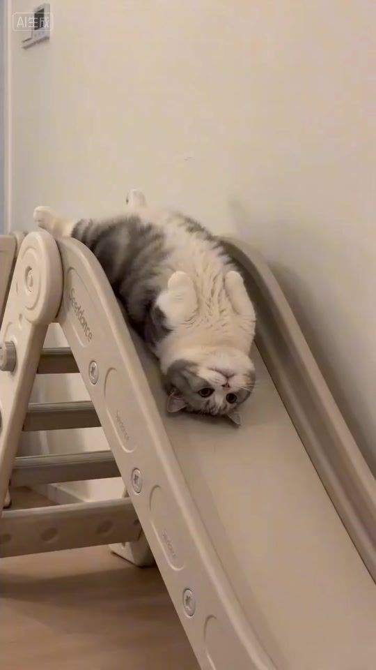 TikTok video thumbnail by katikatcooo