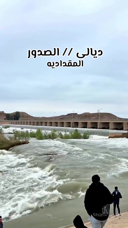 TikTok video thumbnail by saj1968ed