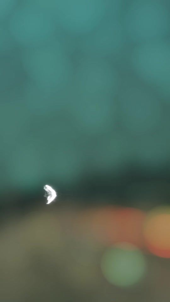 TikTok video thumbnail by jladaj