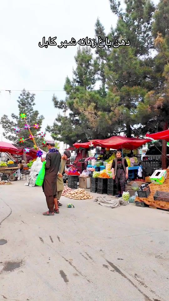 TikTok video thumbnail by afghanseries