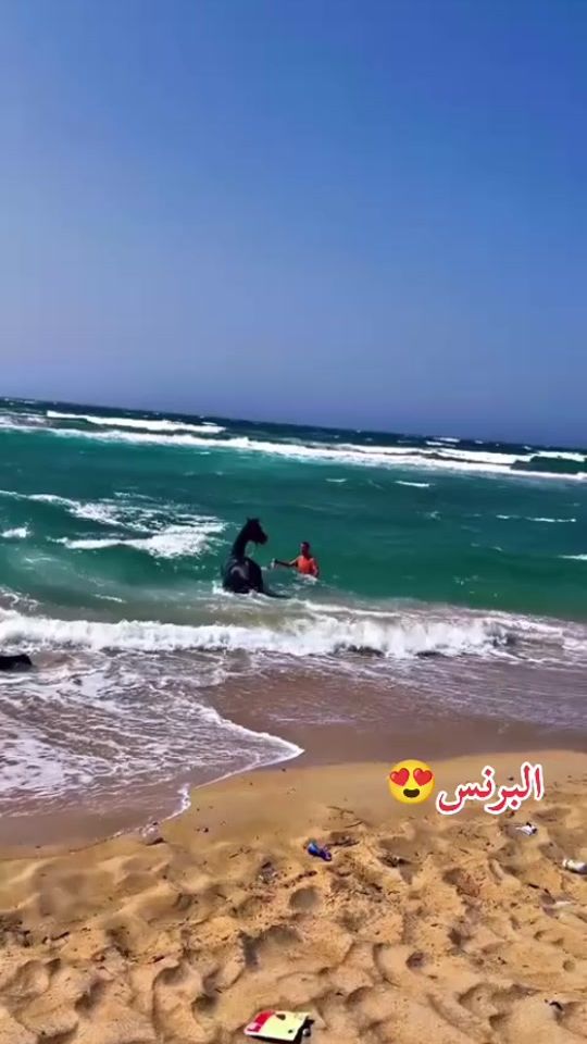 TikTok video thumbnail by basher_333