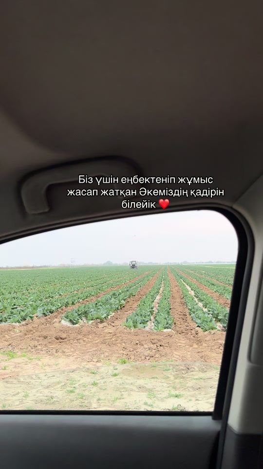 TikTok video thumbnail by the_04_a