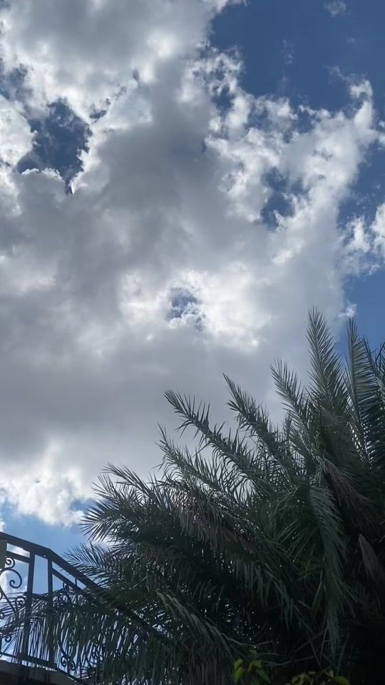 TikTok video thumbnail by s8577