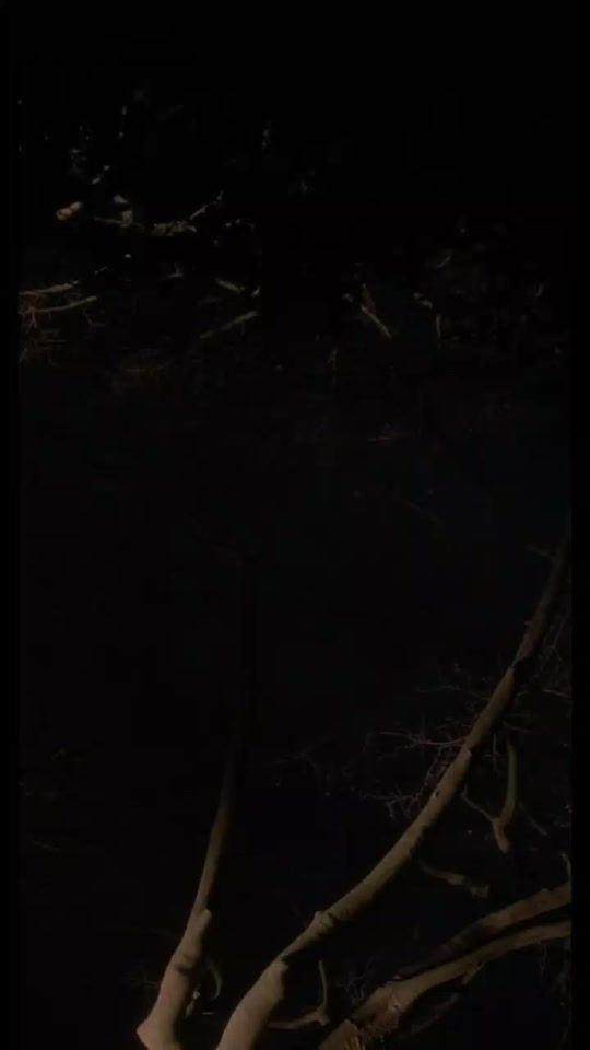 TikTok video thumbnail by classy_y0usaf
