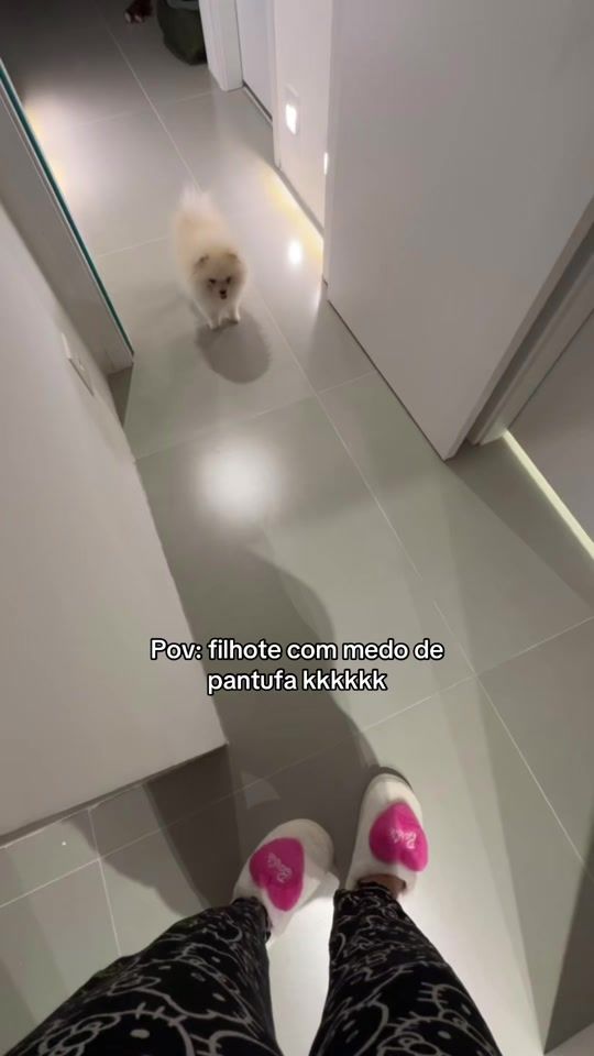 TikTok video thumbnail by saqueinfamily