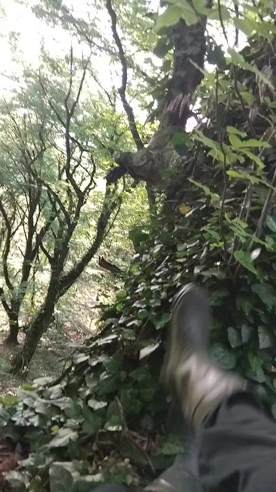 TikTok video thumbnail by alan.tedeev2