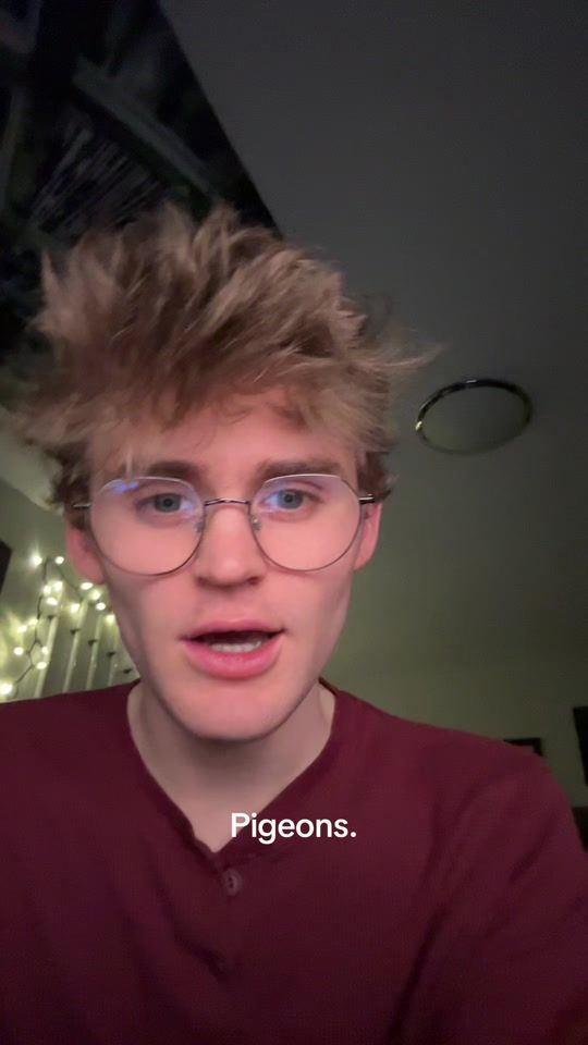 TikTok video thumbnail by flynn_castles