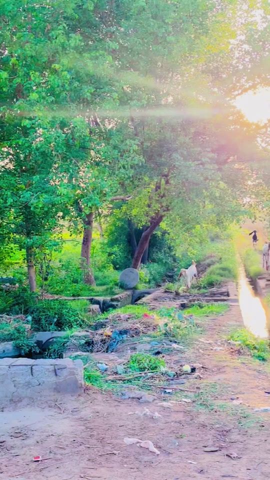 TikTok video thumbnail by anjamstudio
