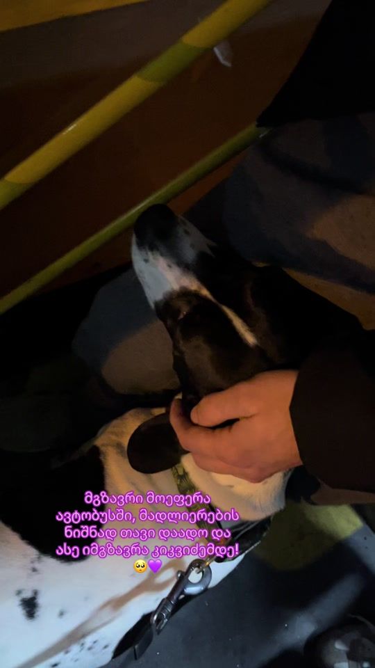 TikTok video thumbnail by gvantsaarakhamia7