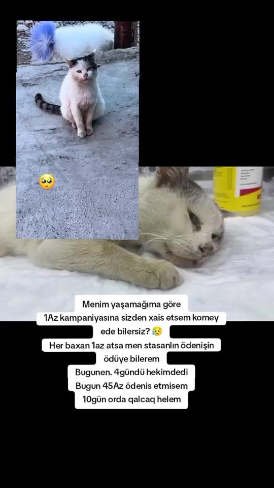 TikTok video thumbnail by onlarindostu