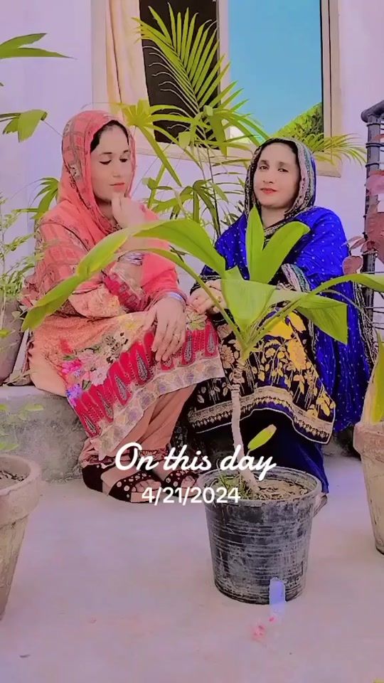 TikTok video thumbnail by samina_baloch3