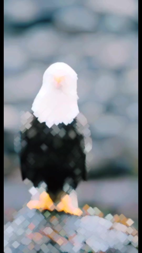 TikTok video thumbnail by eaglepower11