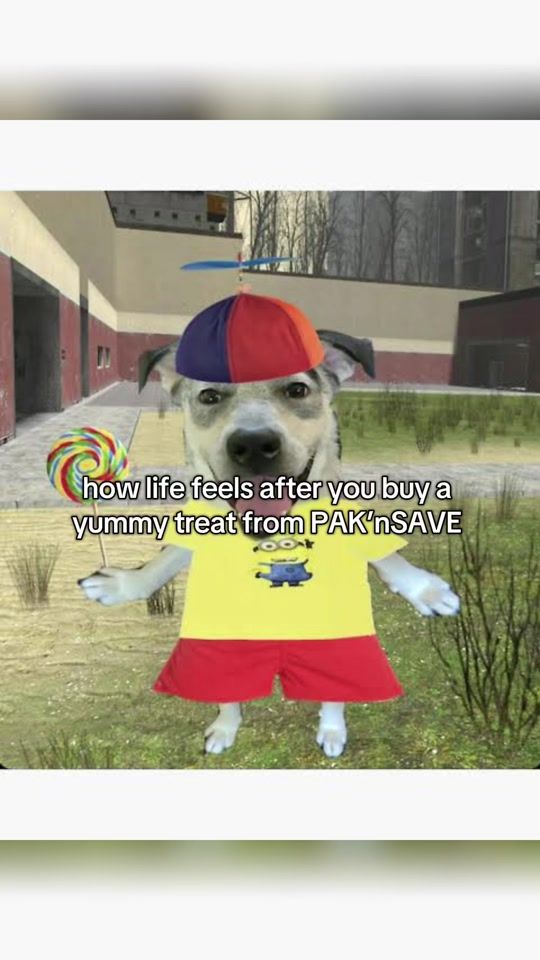 TikTok video thumbnail by paknsave
