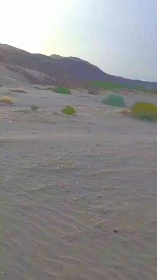TikTok video thumbnail by mahttohu
