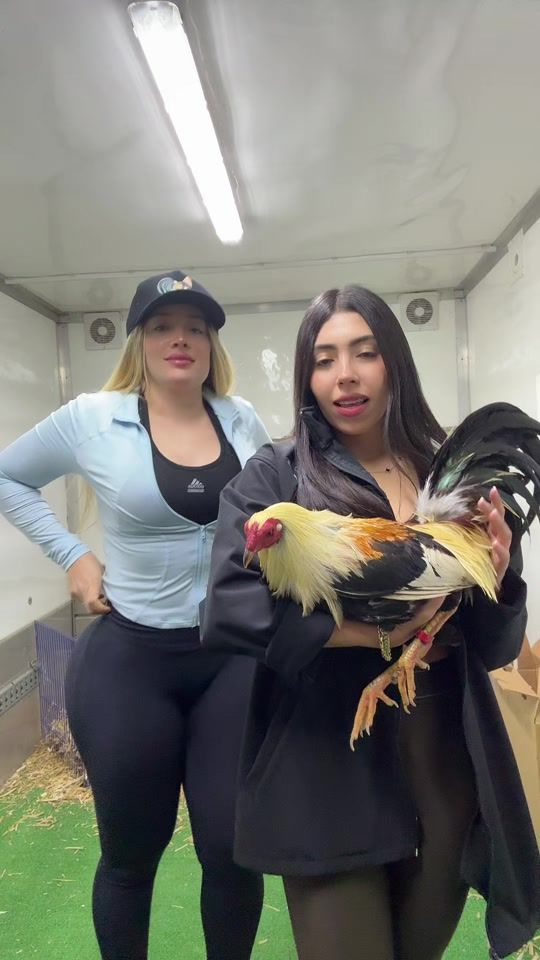 TikTok video thumbnail by sofiia..munoz