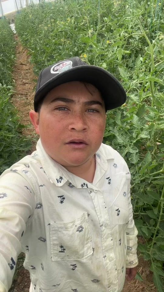 TikTok video thumbnail by chiky_ofi