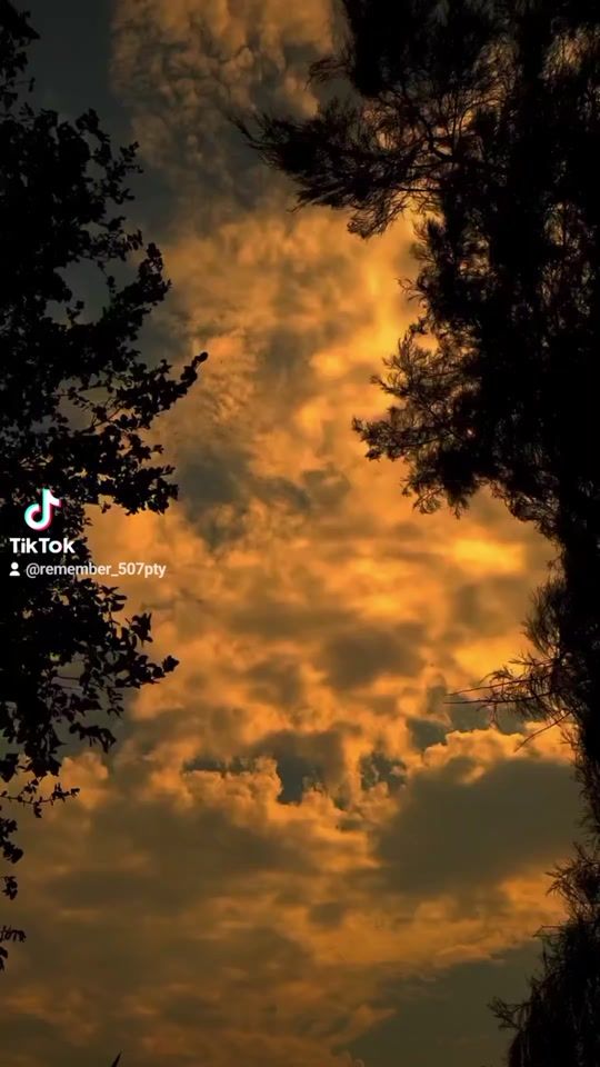 TikTok video thumbnail by remember_507pty