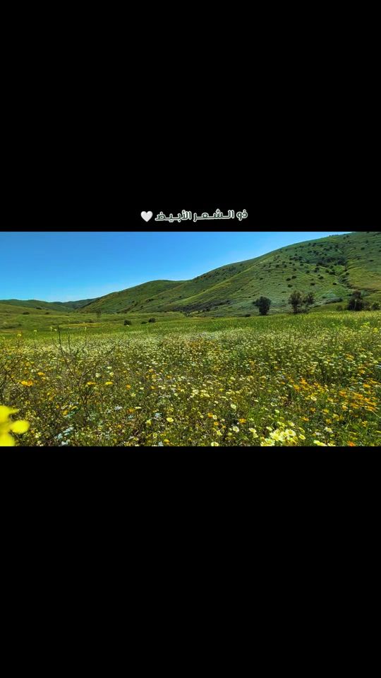 TikTok video thumbnail by moradrooh.7