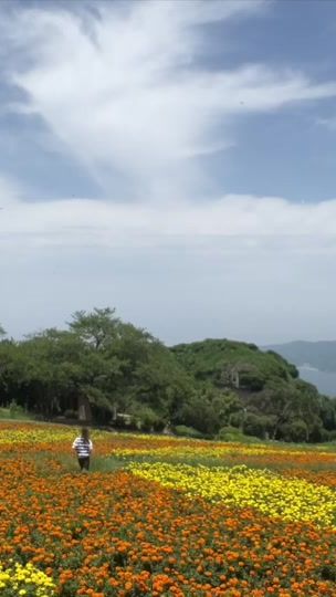 TikTok video thumbnail by onhwa.han