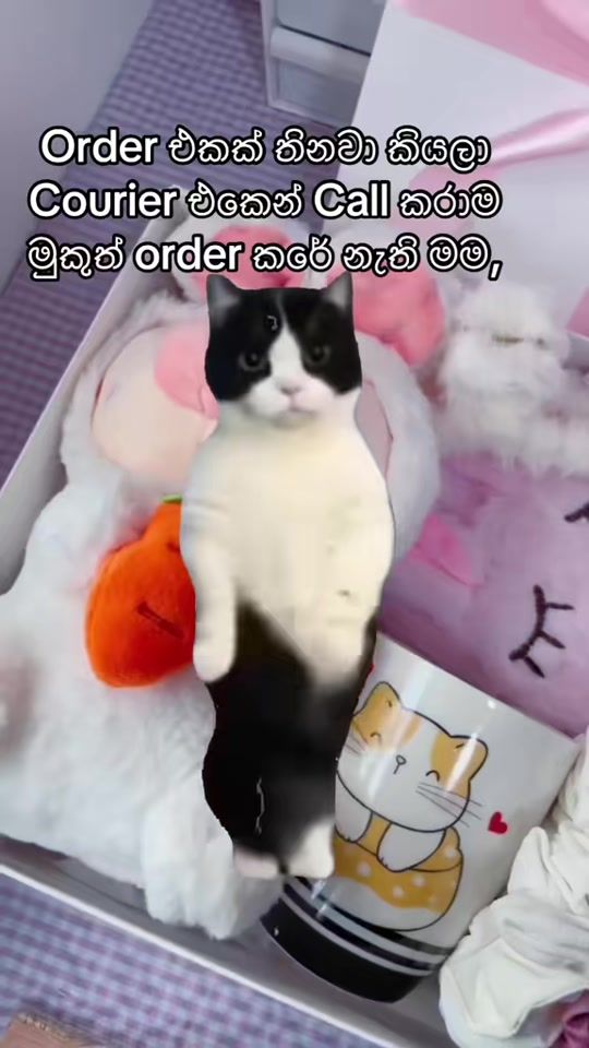 TikTok video thumbnail by cutes.lk