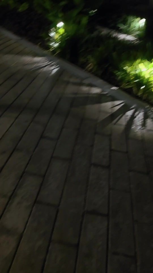 TikTok video thumbnail by gimenezjp