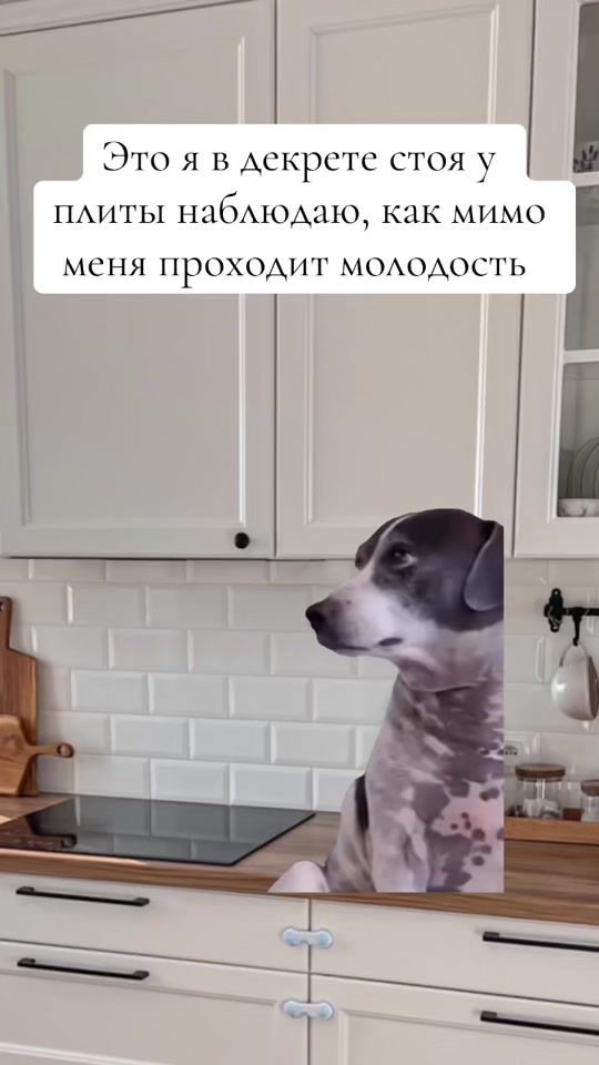 TikTok video thumbnail by i_am_beshik