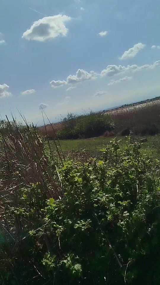 TikTok video thumbnail by memmedovnazim835