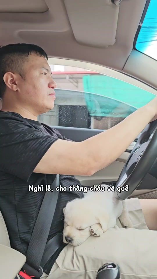 TikTok video thumbnail by cucailab