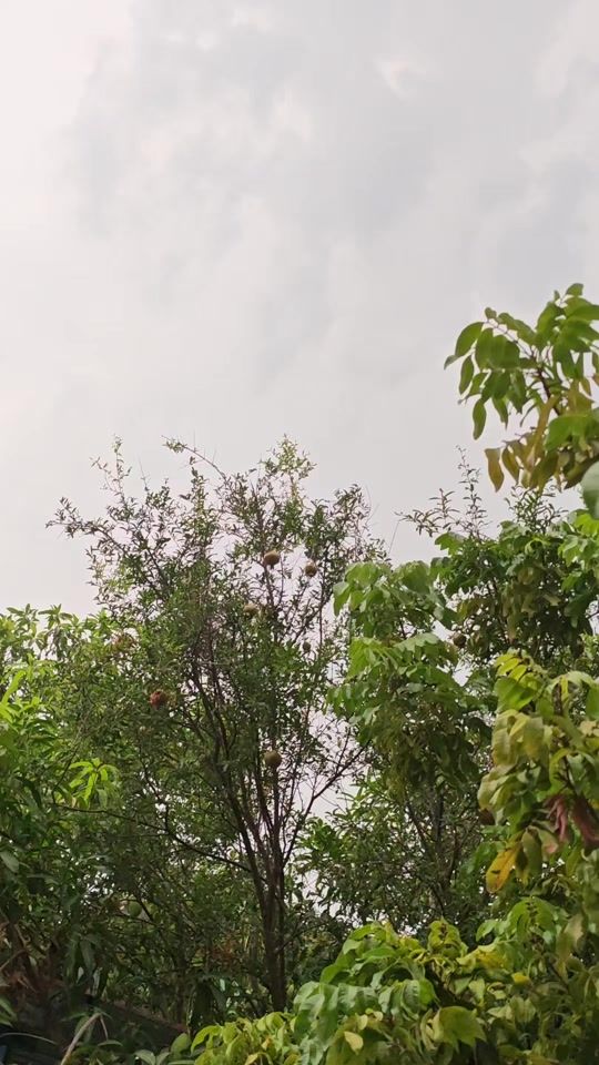TikTok video thumbnail by yeaungdin