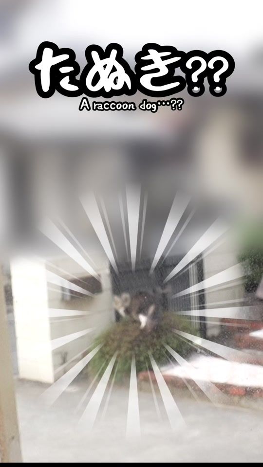 TikTok video thumbnail by chacha_neco