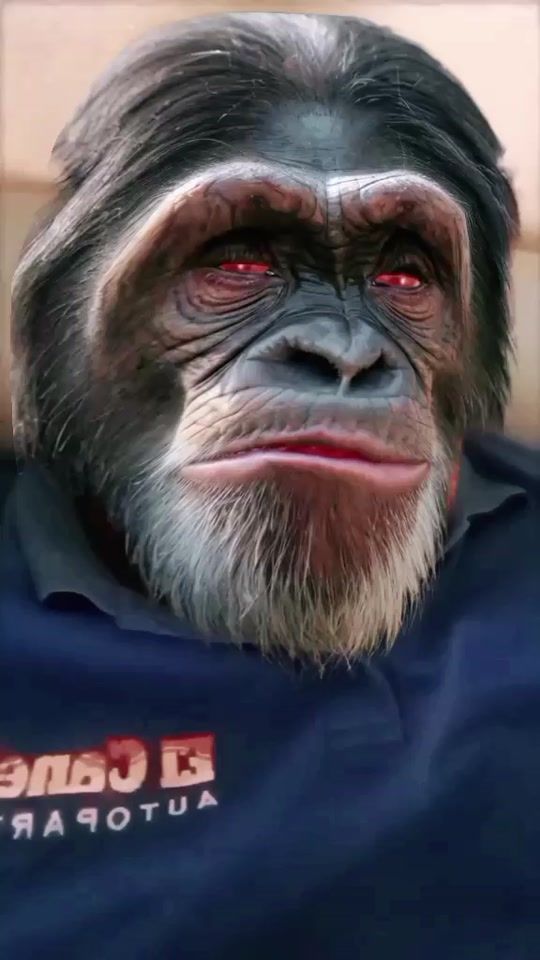 TikTok video thumbnail by ruizgonzalezjuan98