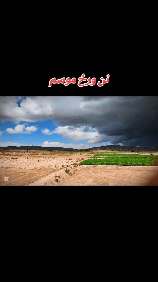 TikTok video thumbnail by qadir.khan4884