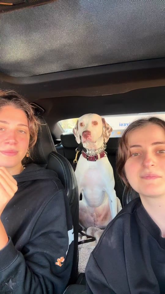 TikTok video thumbnail by _ilkinaydn_