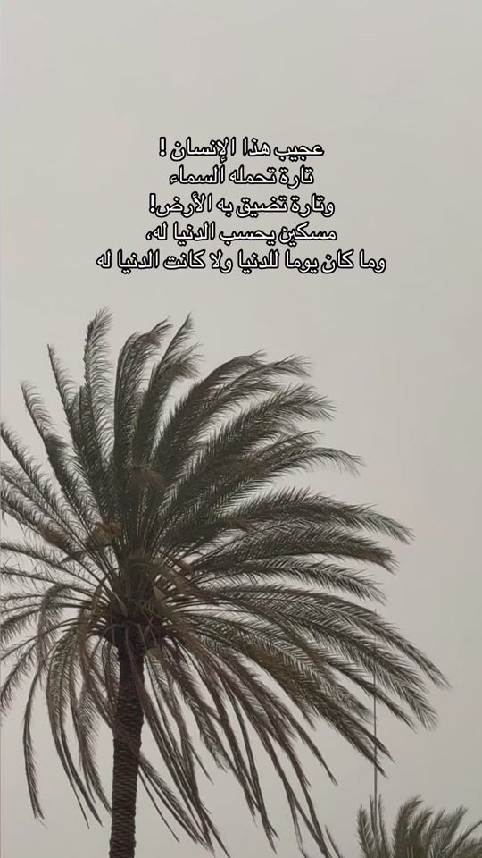 TikTok video thumbnail by rmadhoun90