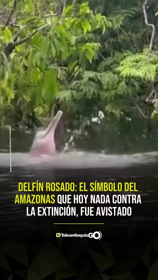 TikTok video thumbnail by teleantioquia