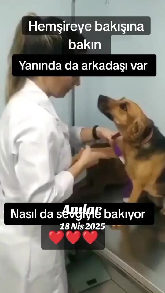 TikTok video thumbnail by tunarpashayev1