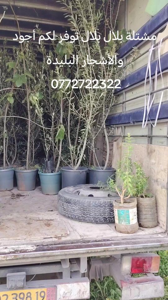 TikTok video thumbnail by user316800047