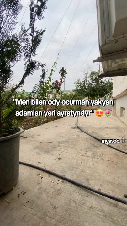 TikTok video thumbnail by meylis_079