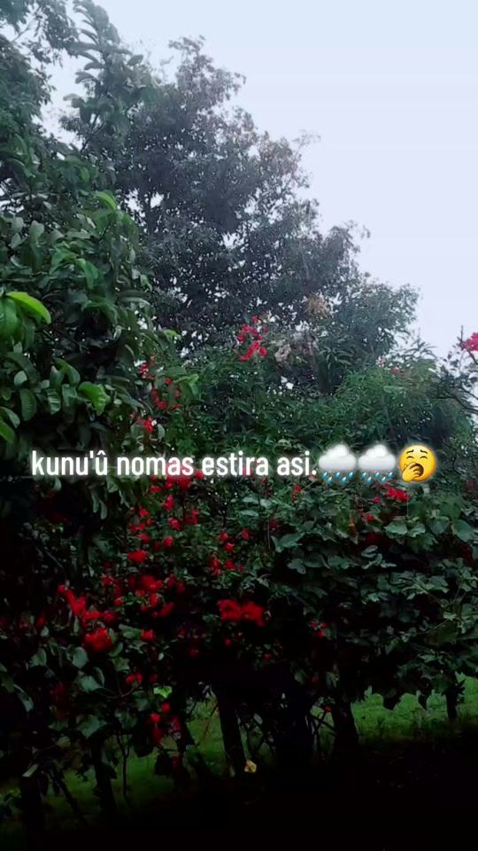 TikTok video thumbnail by ranulfernandez326