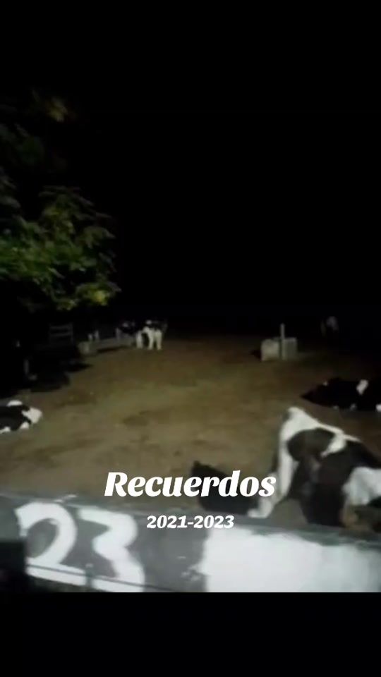 TikTok video thumbnail by laa_maru_