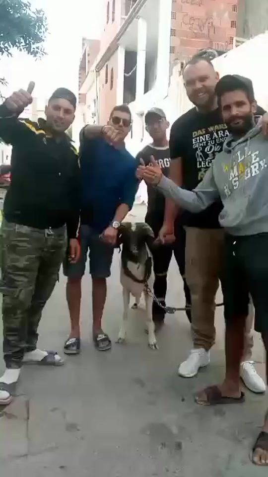TikTok video thumbnail by abdallahtitou