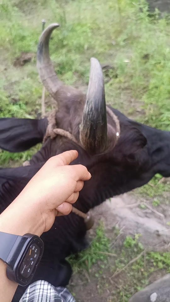 TikTok video thumbnail by sonam.bb3