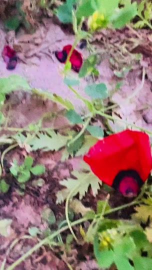 TikTok video thumbnail by mr_ahliddin.01